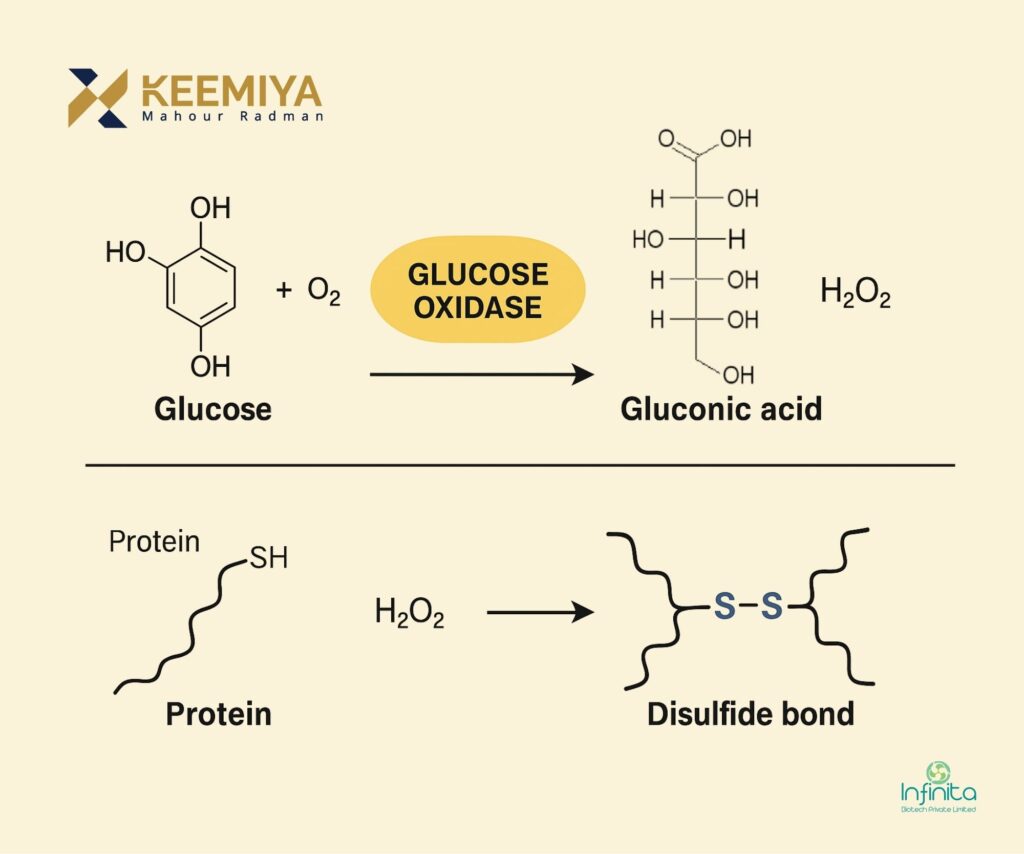 glucose oxidase in wheat flour