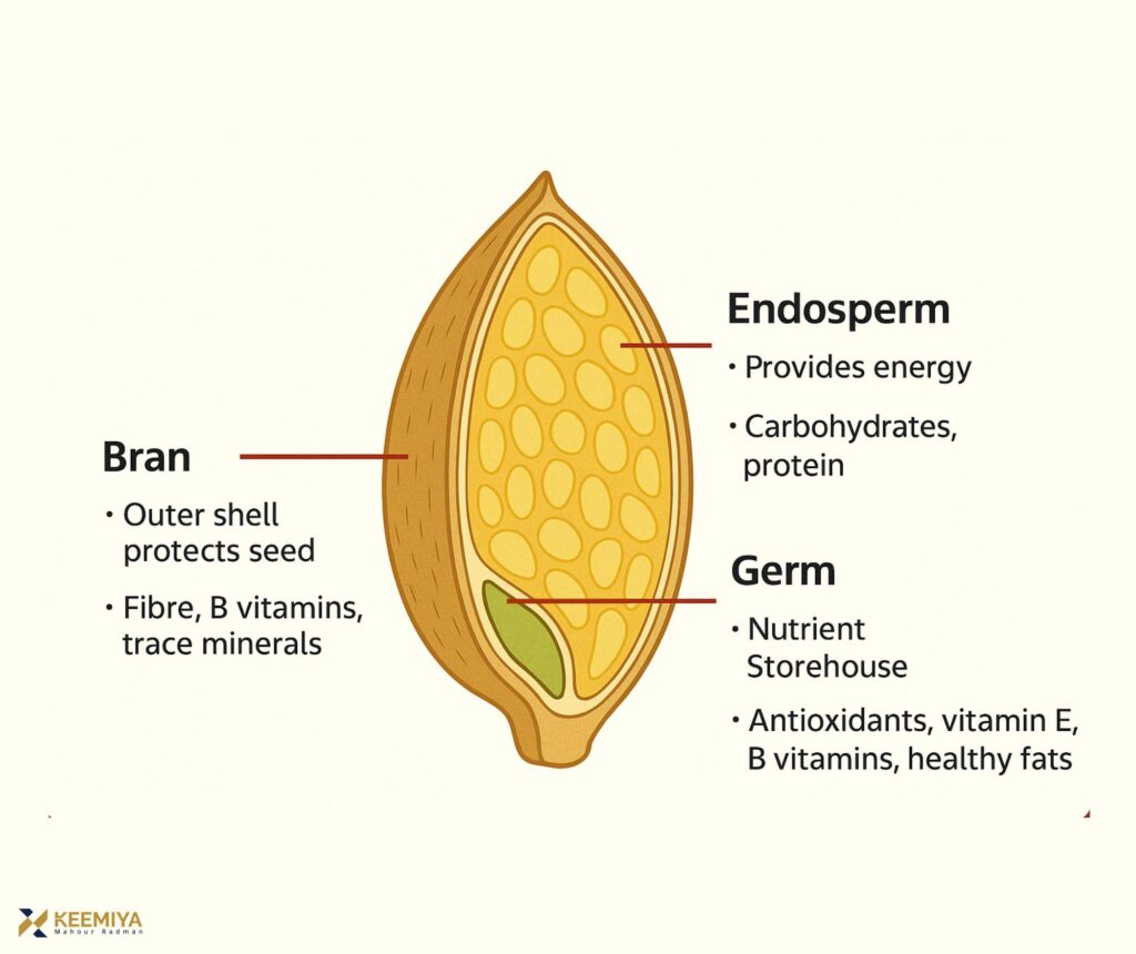 wheat structure