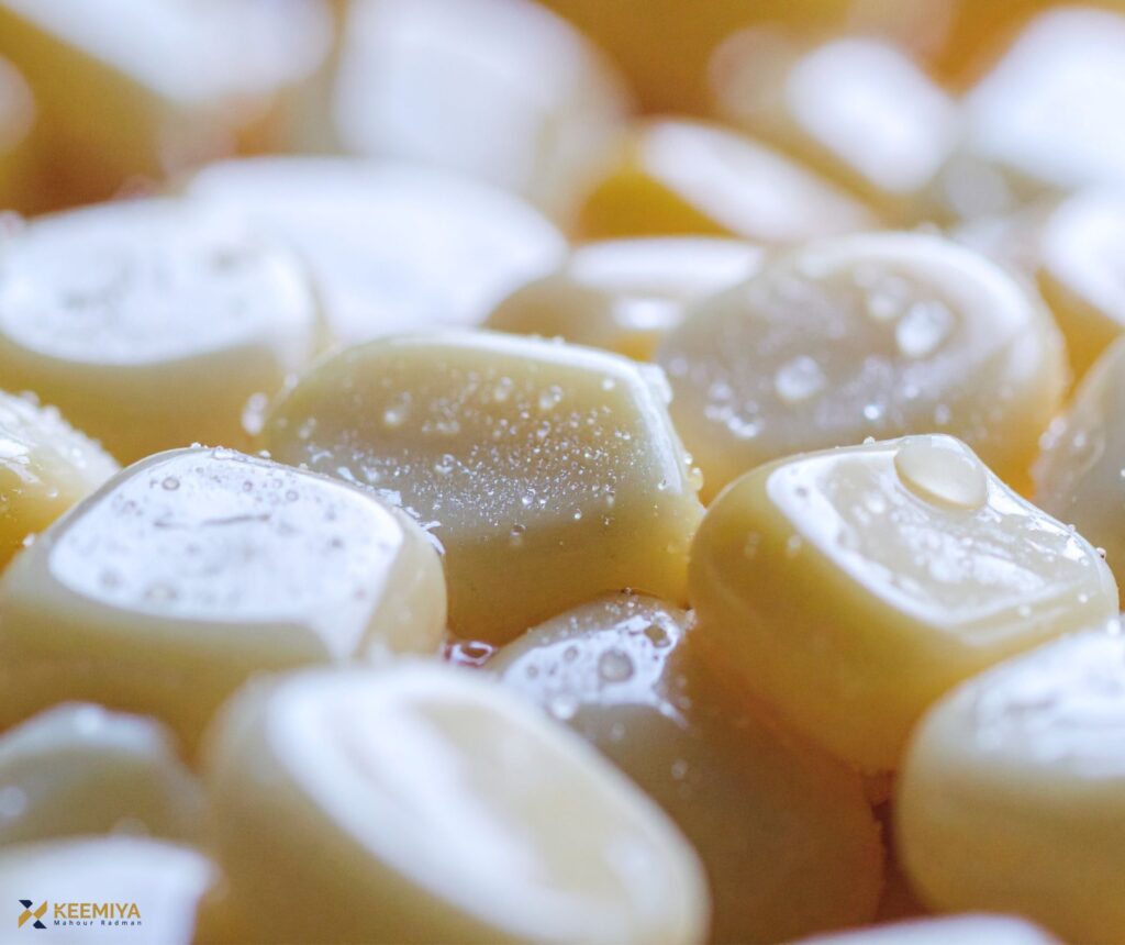 corn lipid